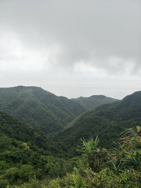 灣坑頭山步道1751786