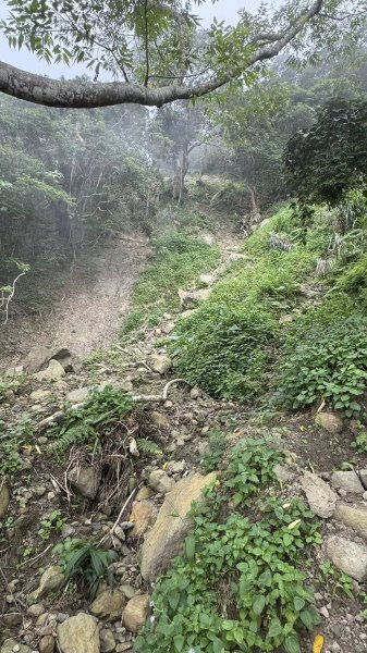 20251025 小百岳竹子尖山及刣牛湖山2925018