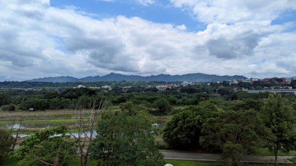 114.06.21山豬湖自然生態之行2819025