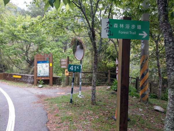 大雪山小神木步道+環站步道914516