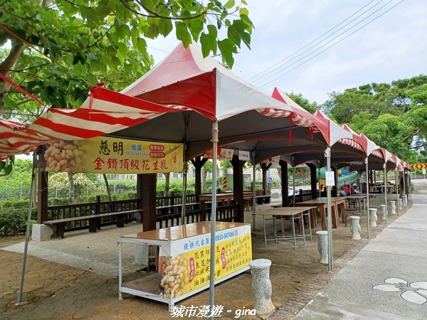 【台中外埔】沿著水圳散散步。 外埔水流東桐花步道1731447