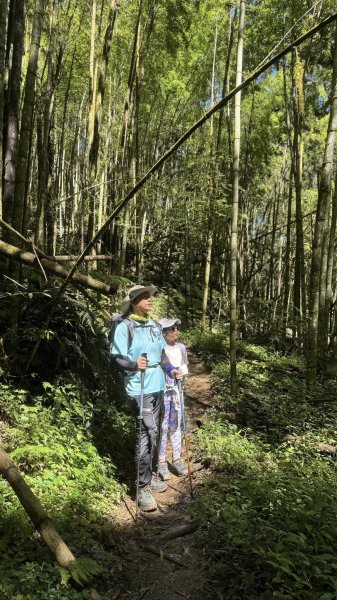 20251005小百岳金柑樹山2906993