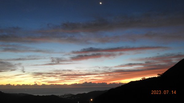 雲山水花鳥蝶 - 天龍國阿伯的日常，沒鳥也沒蝶槓龜 7/14&172217413