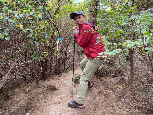 硫磺谷.龍鳳谷.大砲岩.石壇山【大巨蛋 跳起來 可以嗎?】2686315