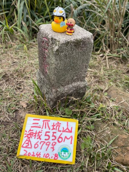 蛇來運轉-蛇子行古道-三爪坑山-蛇子崙山O2706680