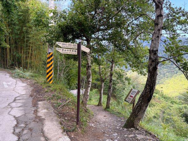 司馬庫斯巨木群登山步道2862292