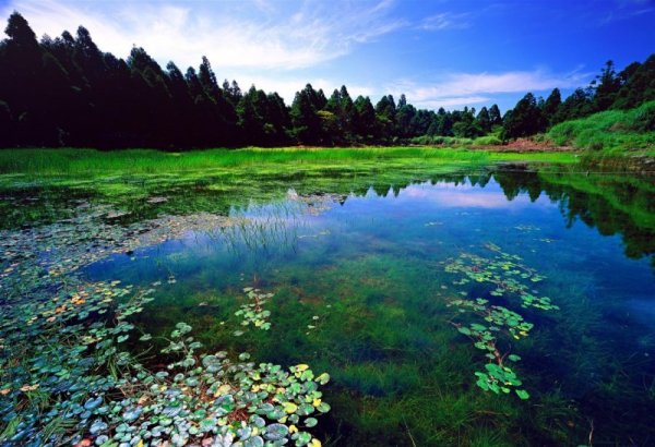 【講座】陽明山國家公園將於5月24日舉行110年保育成果線上發表會