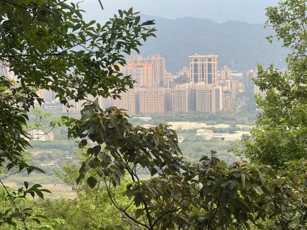 鶯歌石步道小O型路線3036050