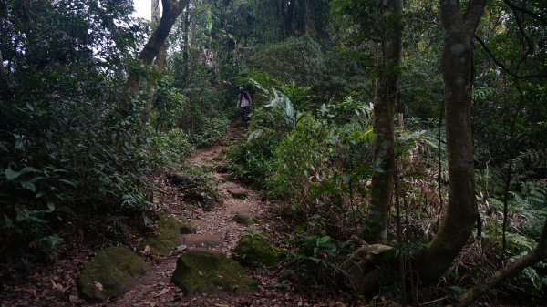 溪洲山 新溪洲山 石門水庫連走1304357