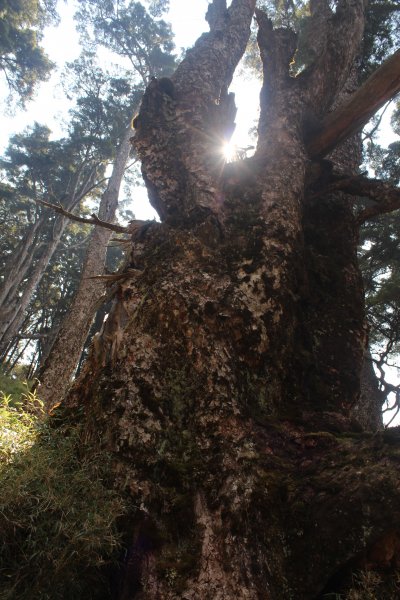 20230403高雄小關山2101548