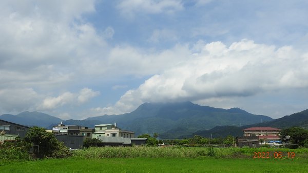 一方淨土，淙淙清流， 蟲鳴鳥叫，蝶飛蟌舞。1739650