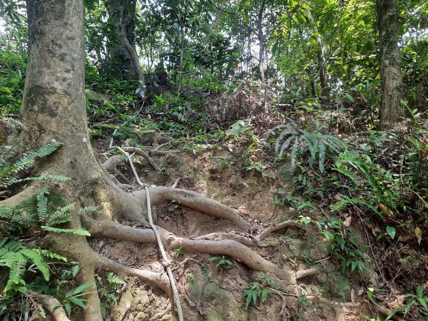 圓通寺烘爐地登山步道1425396