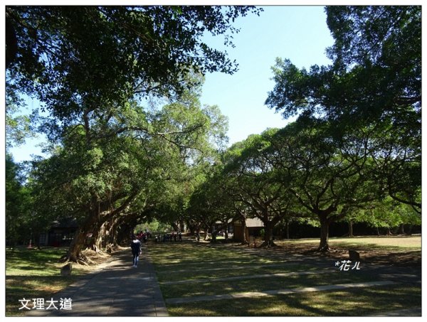 東海大學/校園步道746117