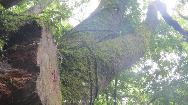 《雲林》望好望角｜石壁山嘉南雲峰步道(中側登山口）202506072805535