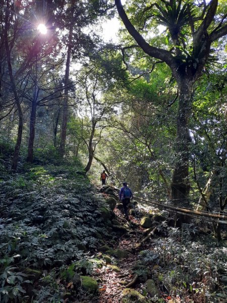 南庄加里山大坪大湳山麓2034087