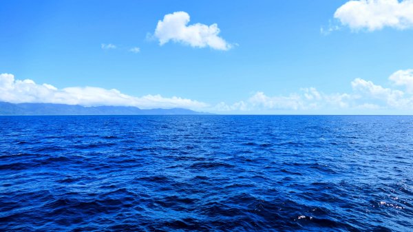 龜山島401高地2825527