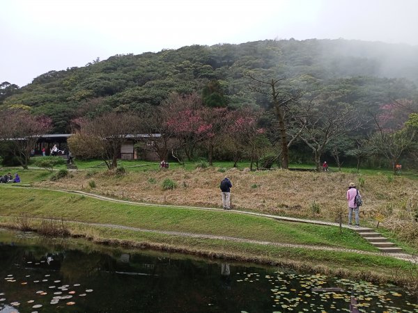 【臺北大縱走 1】二子坪→面天山→清天宮1274578