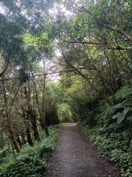 迷霧抹茶山1712742