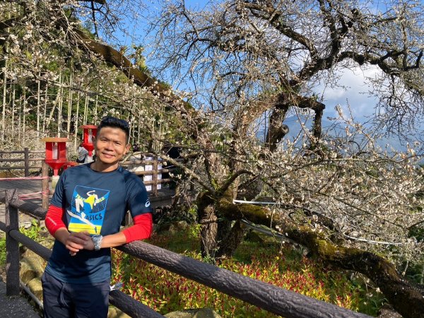 風櫃斗.牛稠坑.二坪山古道【遙知不是雪，為有暗香來】2703880