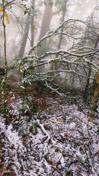 我的2025第一場雪，包場夫婦山，獨享差強人意的雪景&雲海。1/272699852