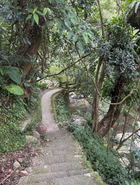 登峰古圳訪高頂山 北五指山 出荷蘭古道 快閃聖人瀑布2982308