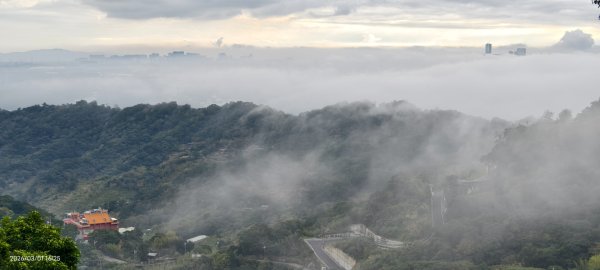 #雲瀑 #雲海 #琉璃光 #天空之城（林口）#觀音山 #林梢步道 3/13008596