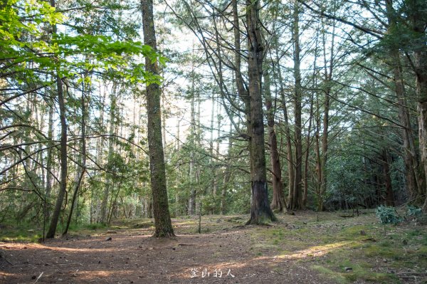 霞山鐵道野營2843102