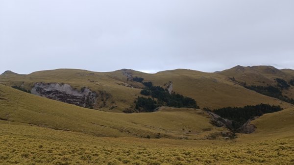 百岳:三叉山1979144