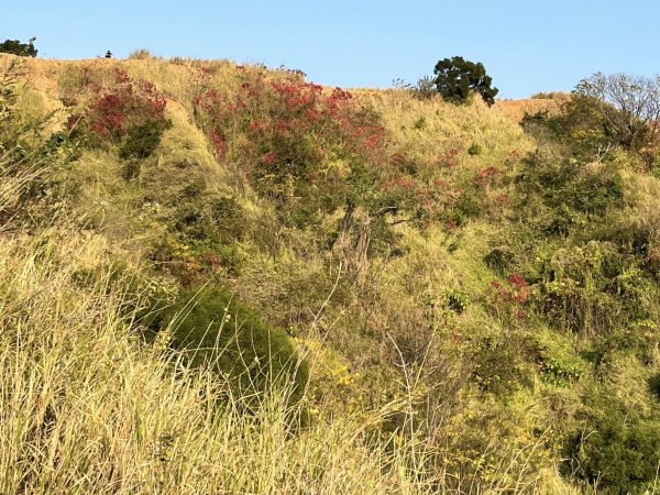 知高圳步道2711629