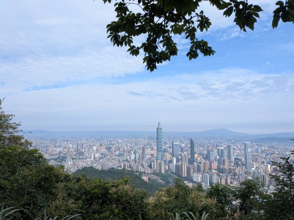 2025-06-01 五進五出九五峰2803008