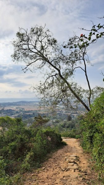 金門：后盤山金中師事件、蔡厝古道太武山2487811