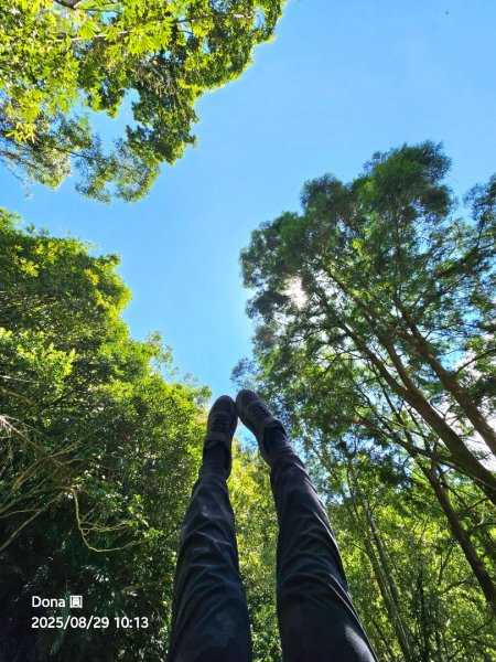 小百岳三角崙山(東南峰)全紀錄2879894