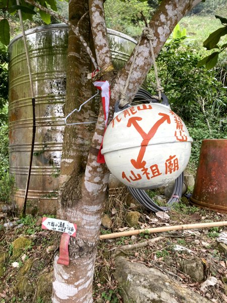 2024-01-25 登關子嶺雞籠山順訪臺灣木材故事館2409591