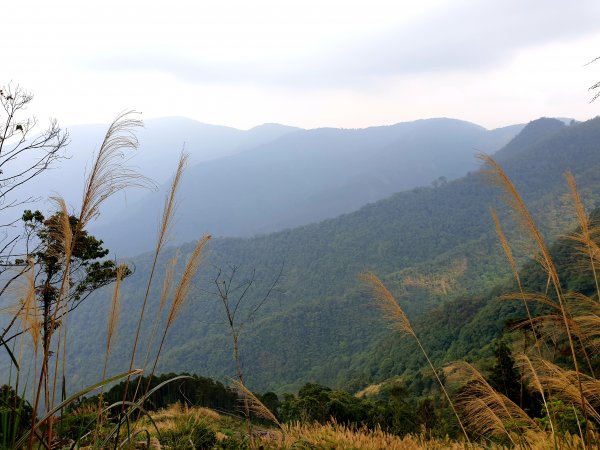 舊武界越山橫屏山連稜8峰O型縱走