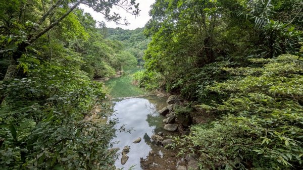 114.06.14雙石縱走&石門水庫-石牛山之旅2812273
