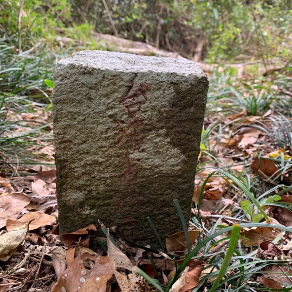 20250405屏東內南世山-西霧里乙山2757781