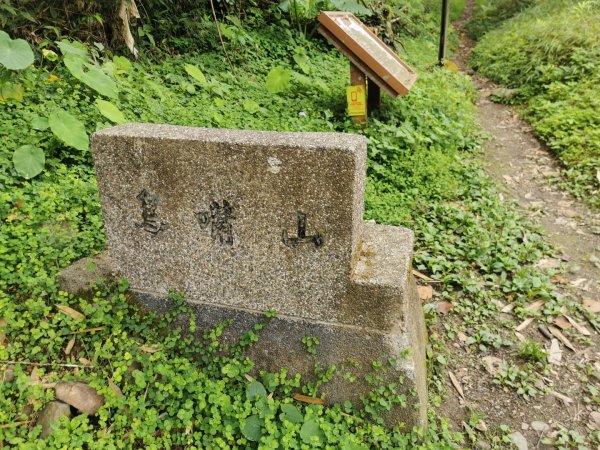 步道巡訪員 l 鳥嘴山步道 4 月巡訪日誌904018