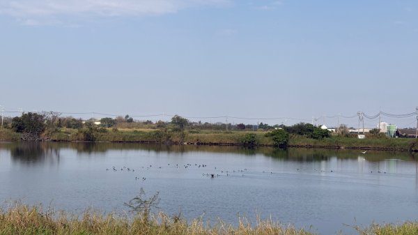 🚴‍♂️ 台南單車慢漫遊3003307