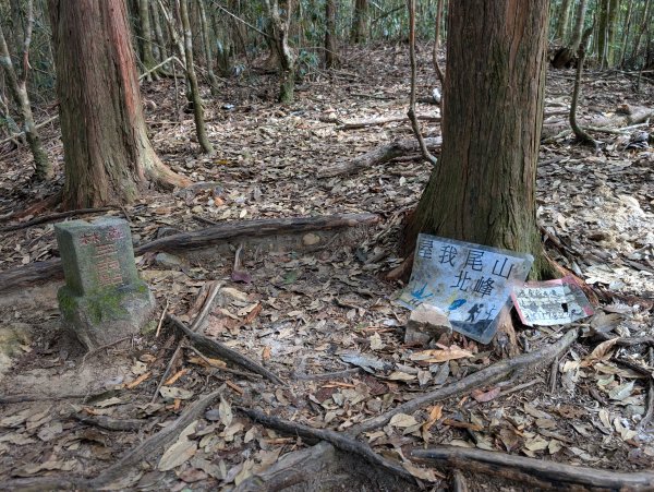 孕婦第二次的谷關七雄屋我尾山+橫嶺山3106903