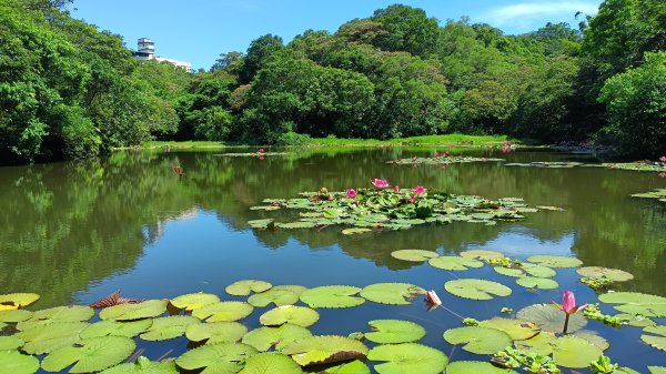 20250914＿五坑山2884110