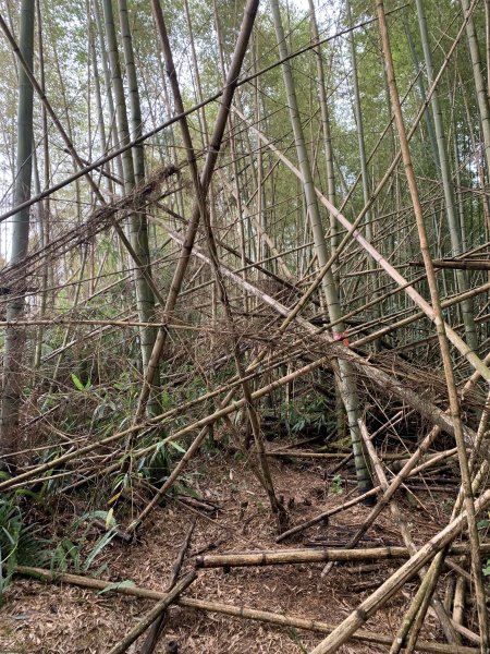 20251220嘉義凸龜山-芙蓉山-天福山2973826