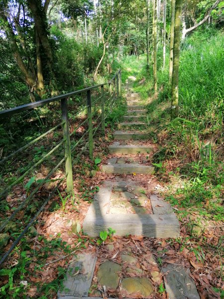二水~台灣百大必訪步道~坑內坑森林步道1123437