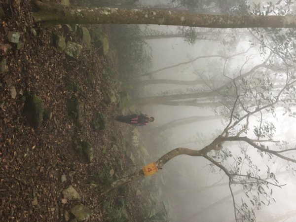 鳥嘴山（上島2708535