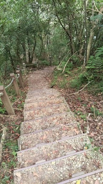 20251004 馬那邦山 - 珠湖 登山口2904764