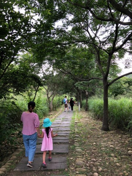 2019.5.4竹坑南寮登山步道593000