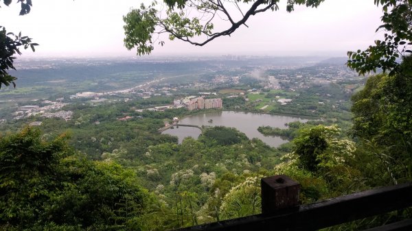 大艽芎古道-溪洲山-頭寮山577959