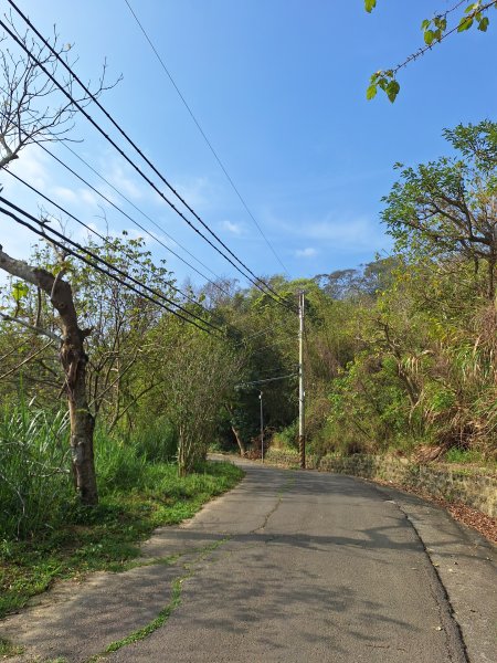 頭份鹿廚坑健行步道2734343