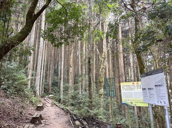 年輕人爬山趣～ 加里山 3/11 20232129275