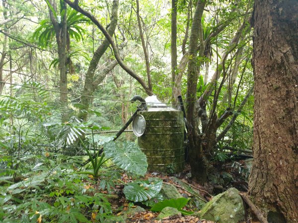 麗陽上屋我尾山2683117