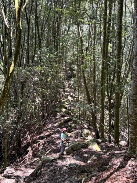 波津加山 202607053083325